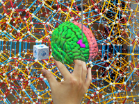 This image presents a first-person view through a head-mounted augmented reality display, where the user’s hand interacts with a superimposed three-dimensional brain model. Virtual anatomical structures and highlighted lesion regions are seamlessly integrated with the physical environment, illustrating the immersive and intuitive nature of augmented reality. The image underscores its potential in neurosurgical preoperative risk communication, enabling patients without medical expertise to better understand disease conditions, surgical targets, and treatment plans. Source: Image created by the Authors; Copyright: The Authors; URL: https://www.jmir.org/2026/1/e87198/; License: Creative Commons Attribution (CC-BY).