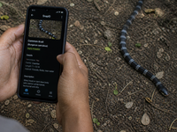 AI-generated image, in prompt to "Create a realistic image of someone trying to identify a snake they encountered in nature while using a fictional smartphone app in a low or middle-income country." (generator: DALLE; requestor: Deborah Hosemann). Source: Image created by DALLE; Copyright: N/A (AI-generated image); URL: https://mhealth.jmir.org/2026/1/e83744; License: Public Domain (CC0).