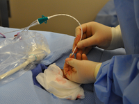 CVC kits used in a placement procedure. Source: Image created by authors; Copyright: The Authors (Mary Beth Privitera); URL: https://humanfactors.jmir.org/2026/1/e84621/; License: Creative Commons Attribution (CC-BY).